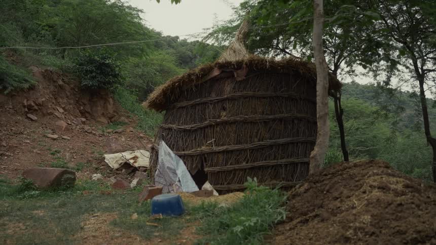 Branchwoven hut stands among trees in a rural area surrounded by green vegetation
