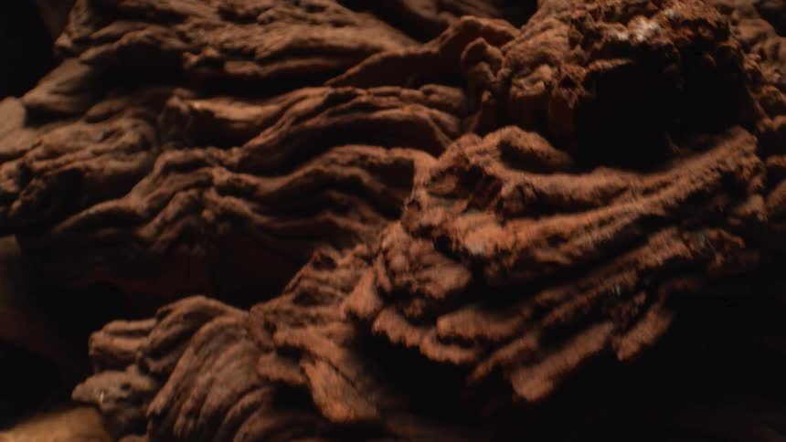 A cave contains a large rocky formation sculpted into a bold rough shape