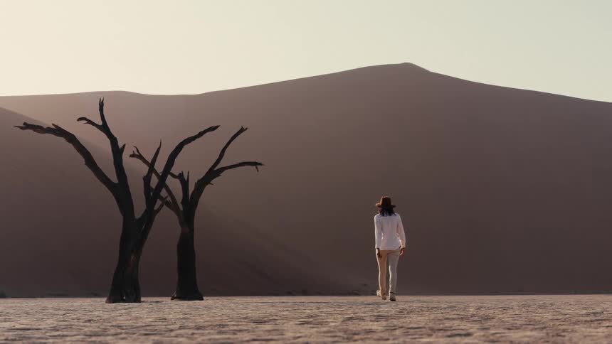 Woman walks across the desert sands passing two dead trees on the route to a mountain during the daytime