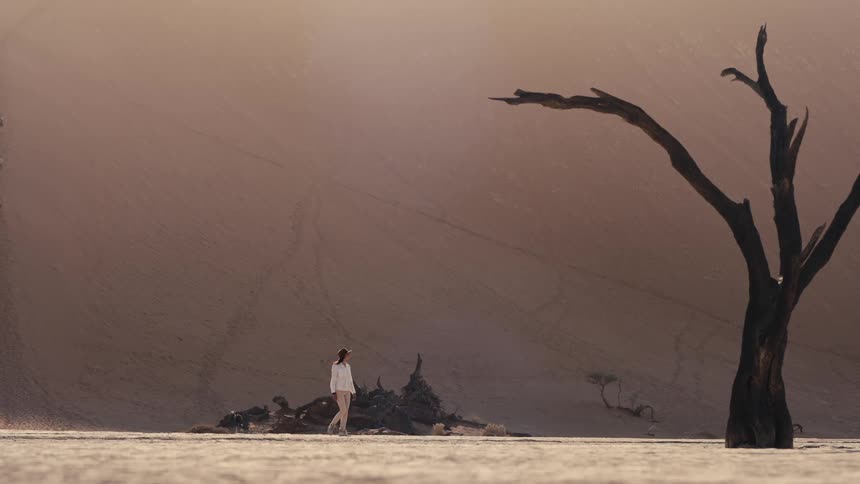 A woman walks across a vast sunscorched desert floor dwarfed by a towering sand dune and the dark silhouette of a dead ancient tree