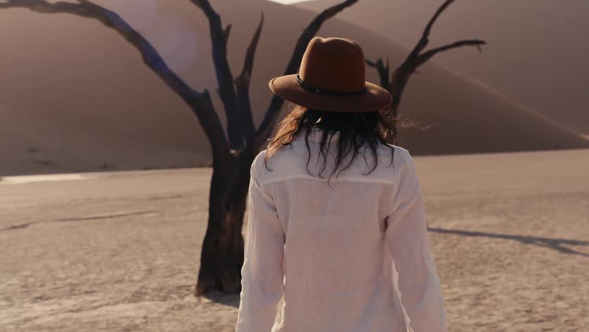 A woman in a widebrimmed hat walks steadily across a sundrenched desert landscape moving toward the silhouette of an ancient dead tree