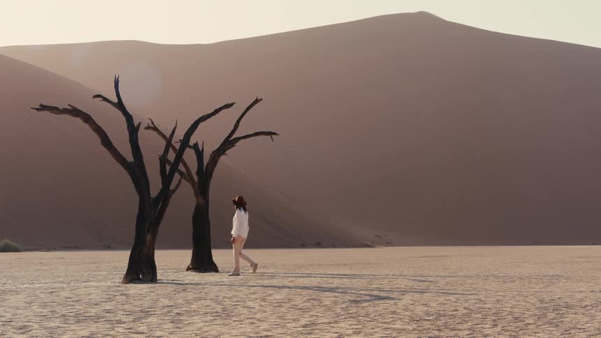A woman walks across a sunscorched desert floor passing the dark silhouettes of ancient dead trees as a massive sand dune looms in the background