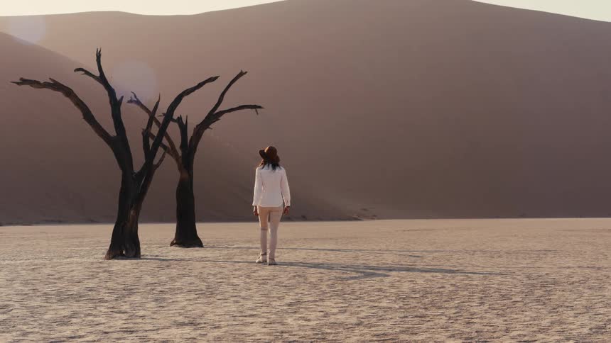 Person walking on arid ground toward two dry trees in front of a sunlit dune