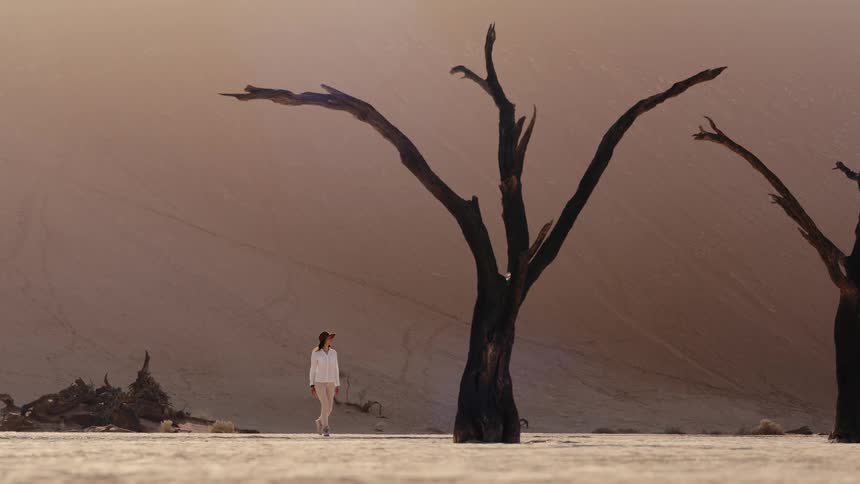 The woman walks past a barren tree in the desert
