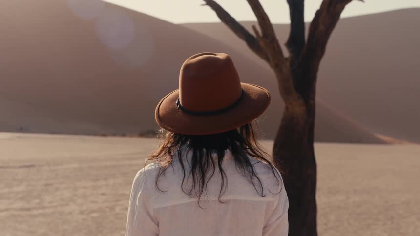 Person watches dunes under golden light