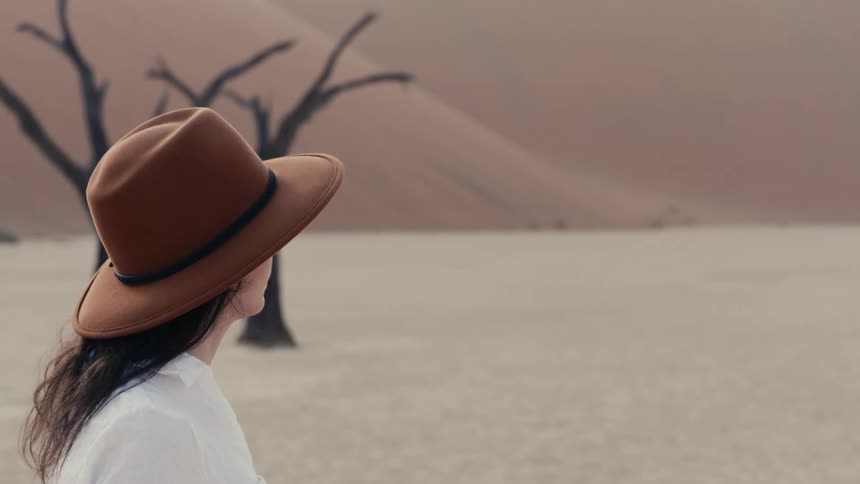 A person in a brown hat looks across a barren desert toward distant dead trees