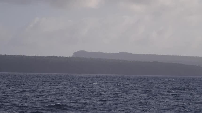 Rocky coast with vegetation under cloudy evening sky