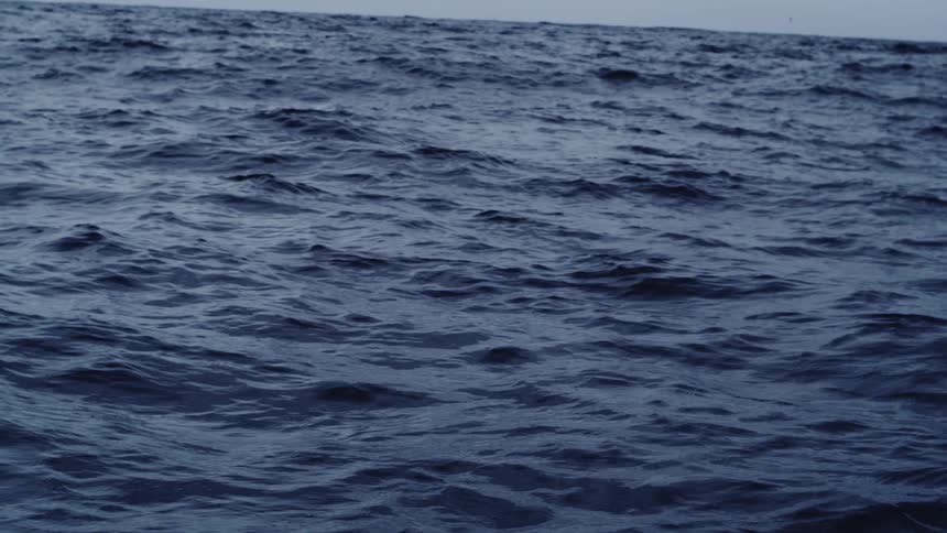 Dark choppy ocean water stretches beneath a gray overcast sky