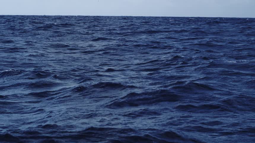 This video shows a wide shot of a rough ocean with deep blue choppy waves filling the lower framethe horizon line is visible beneath a vast slightly overcast sky suggesting conditions in the open sea
