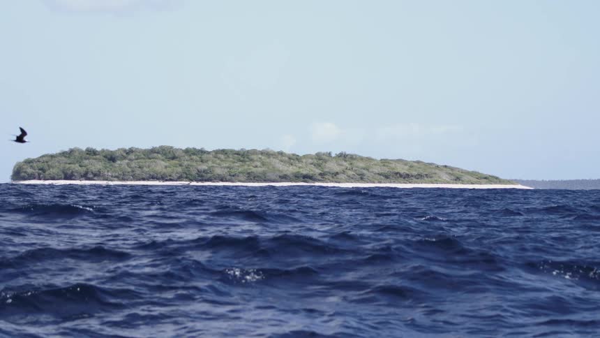 This video features a steady shot of a small lowlying densely vegetated tropical island on the horizon separated from the foreground by choppy deep blue ocean wavesthe island has a thin strip of white sandy beach leading up to the thick green fol