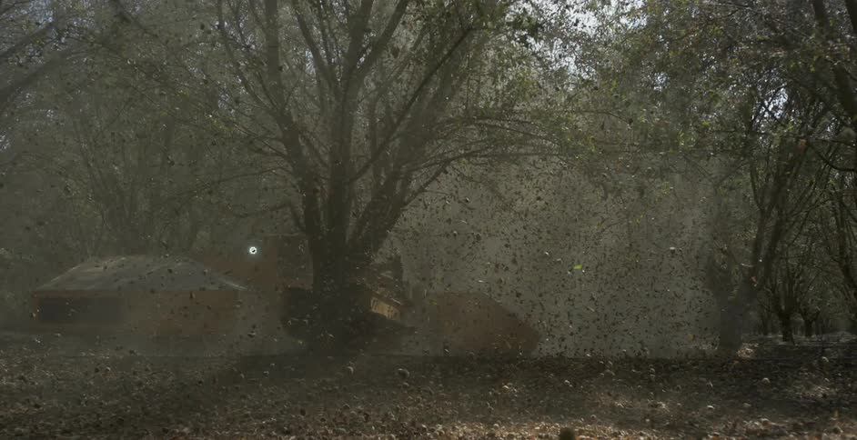 A machine is cutting down a large tree
