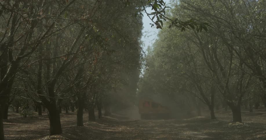 Large piece of machinery in a forest