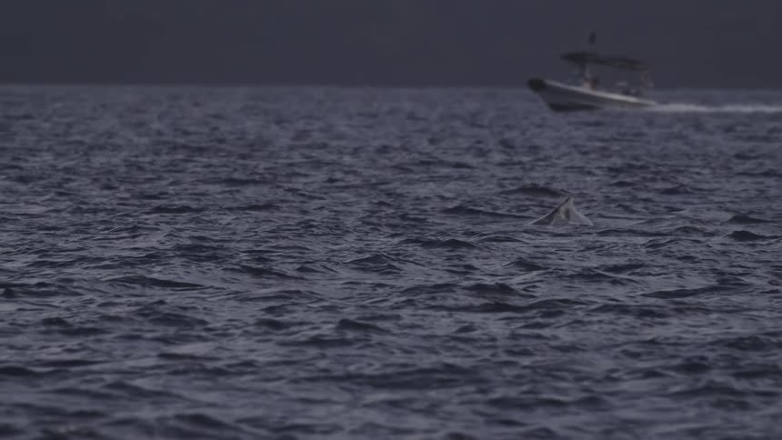A dark choppy water shows a small speeding motorboat on the right blurred by motion and distance with a large mountain range filling the background under an overcast sky