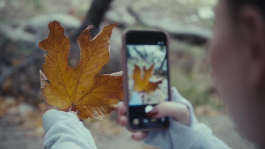 A woman holds up a large yellow autumn leaf and takes a photo of it with her smartphone