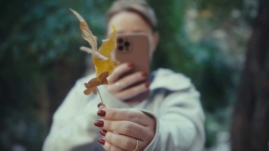 Female hands holding yellow autumn leaf while capturing image with phone in natural setting