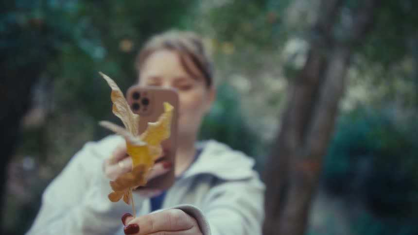 Person holds yellow maple leaf and takes photo with smartphone in forest setting