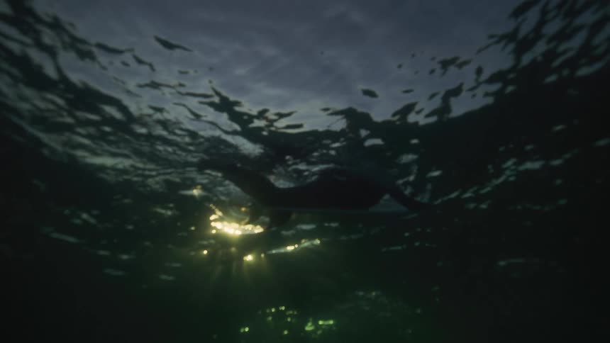 The surfer paddles on his surfboard