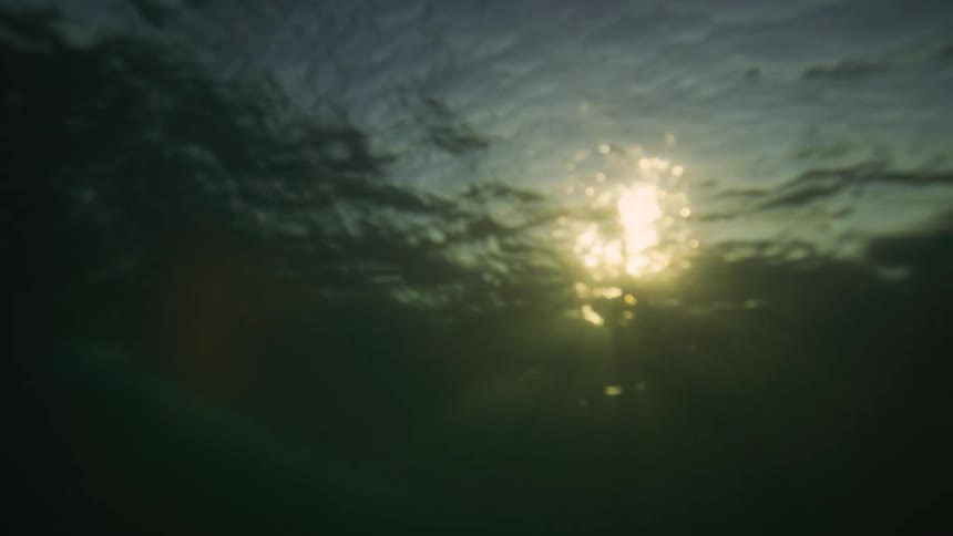 Sunlight shimmers through the dark surface of the water viewed from below
