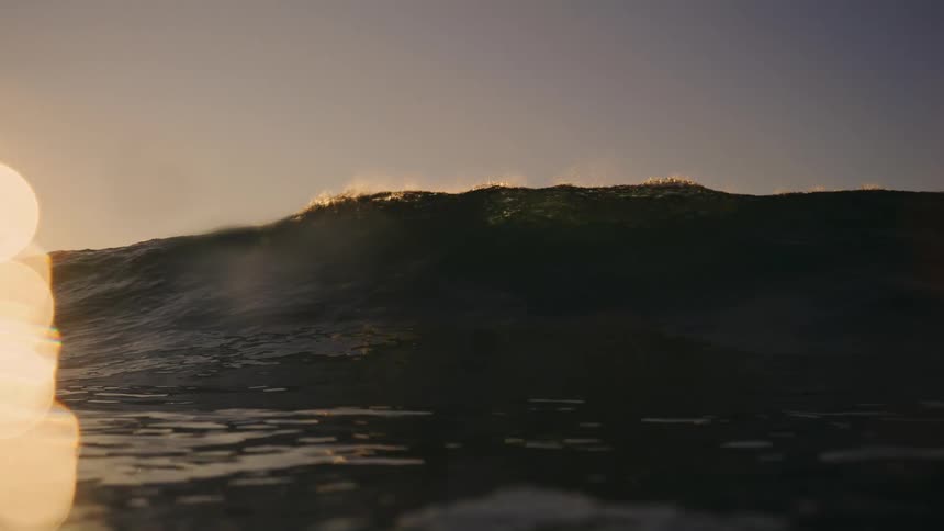 A dark ocean wave building and beginning to break with the crest illuminated by the golden light of the sunset before the wave fully curls and the water completely covers the lens