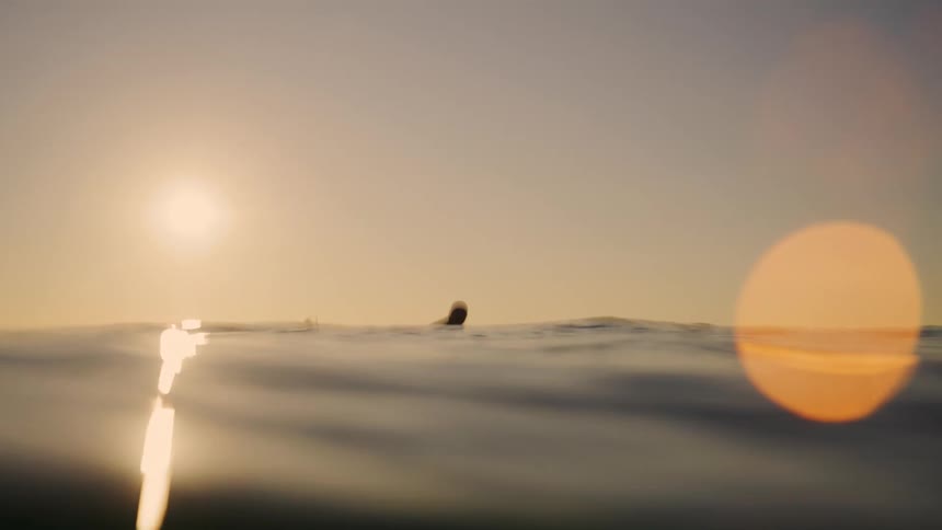 The silhouettes of two surfers waiting in the water with the smooth rolling waves prominently featured in the foreground and a bright hazy golden sun dominating the sky and creating a lens flare on the right