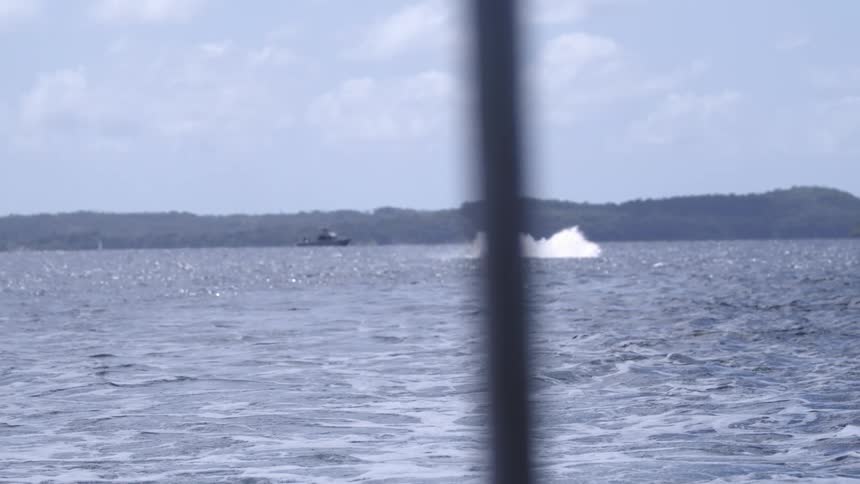 A whale leaps above the ocean crashing back down and sending splashes across the water with the shoreline visible in the background under the midday sun