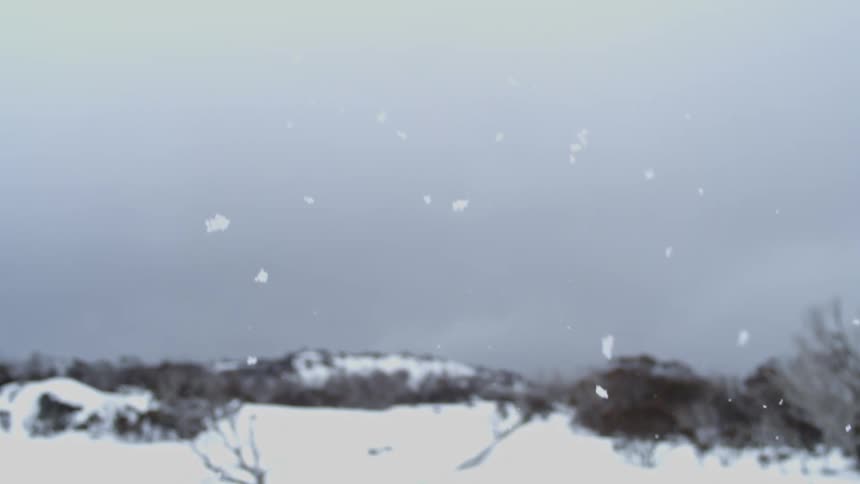 Snow falling from the sky over an area of land covered in snow with rocks and vegetation outdoors during day time