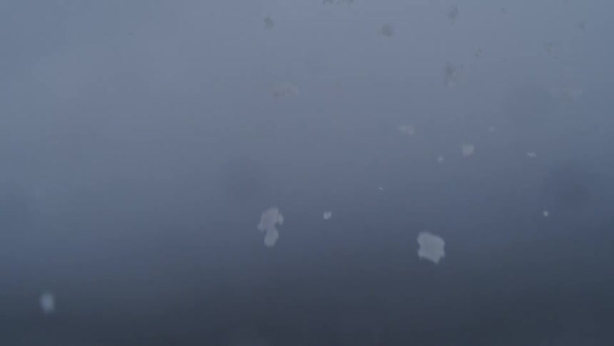 Snowflakes drift against a hazy bluegray background creating a moody abstract winter composition