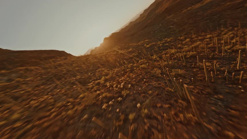 Badlands area with plants and rocks surrounded by hills outdoors during dusk or dawn