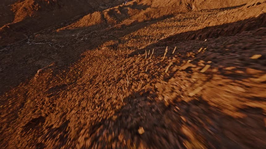 Aerial of mountains and cactus trees in a desert at sunset