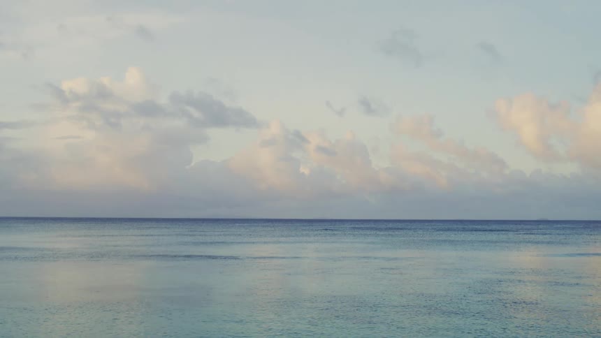 A serene beach view captures gentle ocean waves meeting the sandy shore beneath a soft cloudy sky