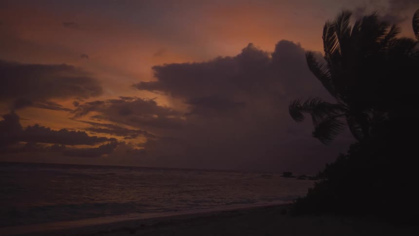 A dramatic lowangle shot captures a dark tropical beach scene as storm clouds gather against an intensely colored orange and purple sunset silhouetted palm tree fronds sway in the lower right foreground while waves crash gently onto the sand