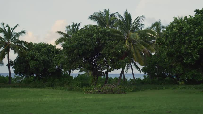 A walkway is by the shore of the island
