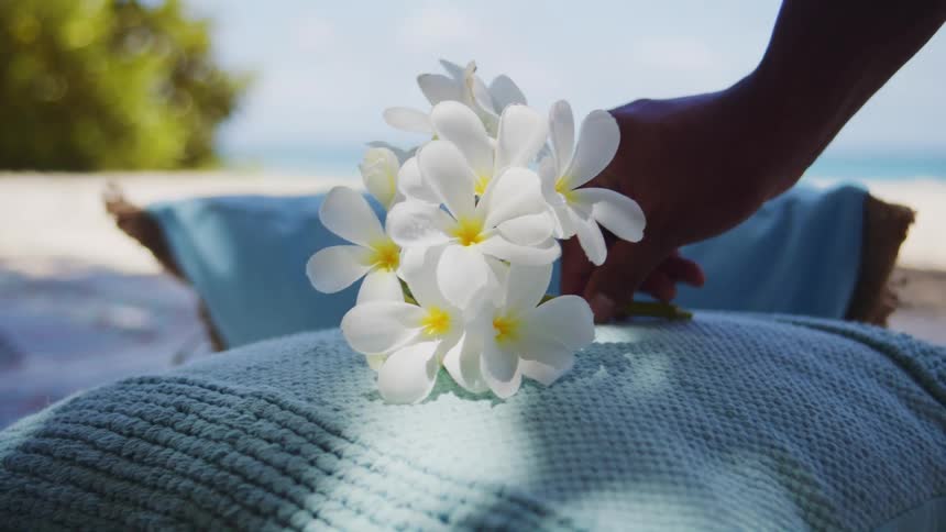 A closeup shot shows a hand gently placing a small bouquet of white plumeria flowers on a blueknit blanket or pillow the scene is set on a sunny whitesand beach with the turquoise ocean visible in the blurred background