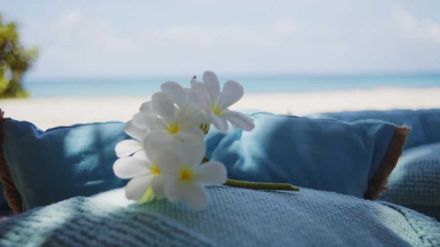 Hand places plumeria flowers on blue fabric with calm sea in the background