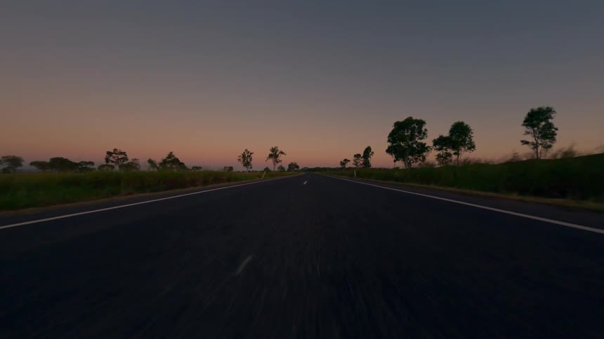 Traveling on an open highway with trees in fields on the roadside