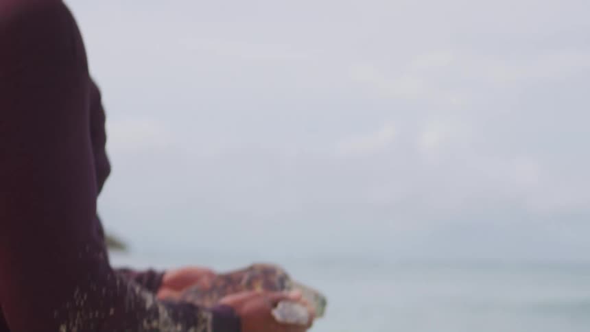 Person in wetsuit holds sea turtle in shallow ocean waters
