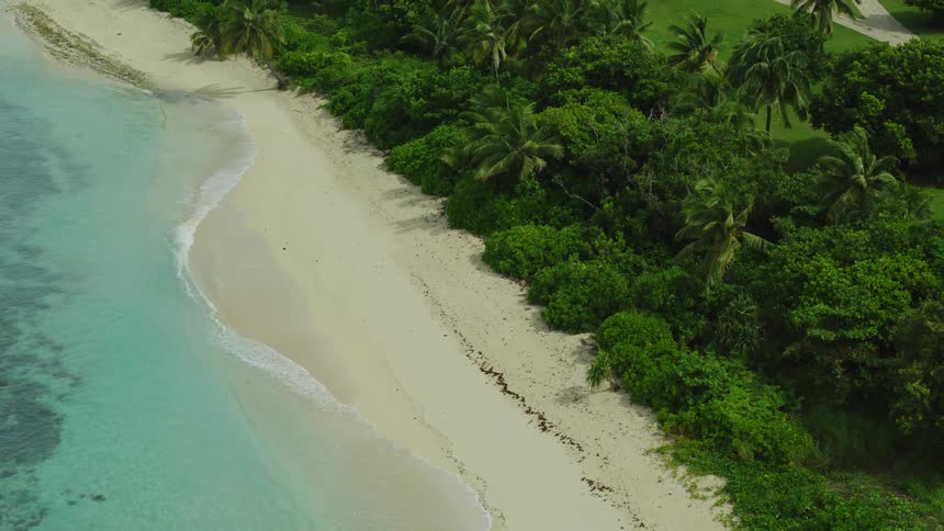 An overhead aerial shot slowly moves along a pristine curved stretch of whitesand beach where gentle waves of clear turquoise water meet the shore bordered by dense green tropical foliage