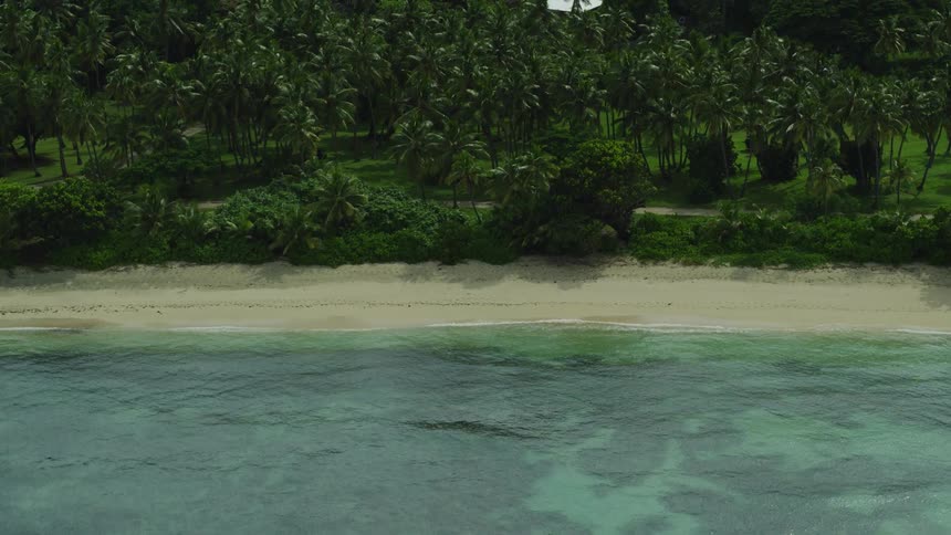 Untouched tropical beach with turquoise waters and dense palms in the background exudes natural serenity