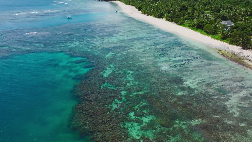Aerial view of a lush tropical island with white sand beach and turquoise ocean