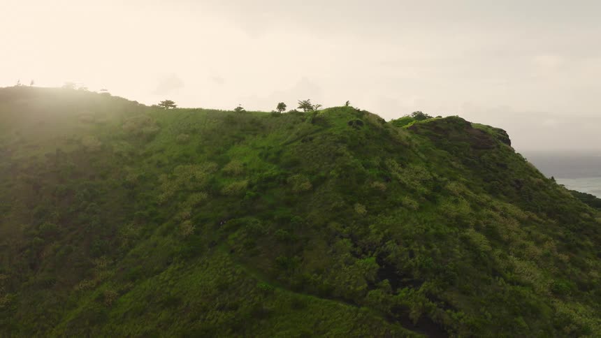 Aerial of a mountain covered with green vegetation outdoors during daytime