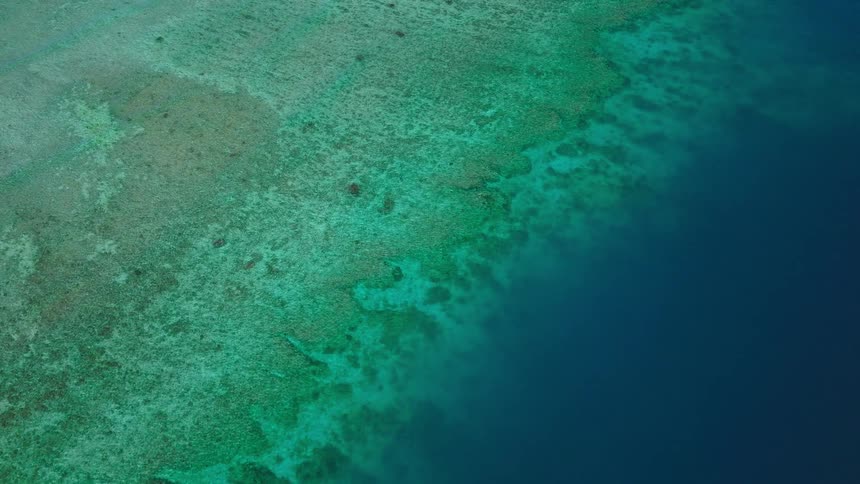 Coral reef on a coastal area with the ocean to one side outdoors during day time