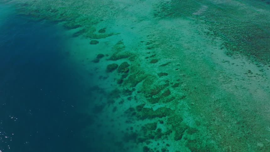 The scene presents a sharp contrast between the deep dark blue of the open ocean on the left and the vibrant lighter turquoise and green colors of an extensive shallow coral reef or sandbar on the right