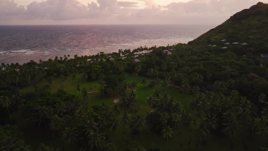 A lush tropical coastal landscape at dusk featuring a dense grove of palm trees leading up a steep hill and meeting the ocean where several white resort buildings are nestled along the shore under a dramatic sunset sky