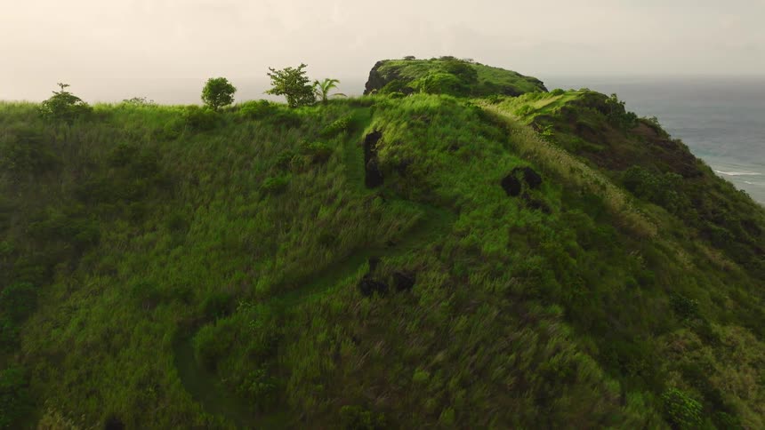 Dense vegetation covers green hill with ocean in the background at dusk