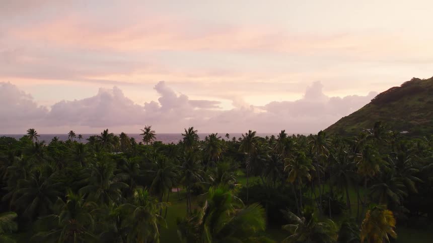 Tropical vegetation covers hillside facing the sea at sunset
