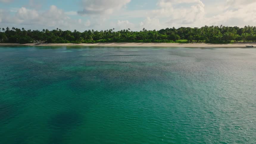 Aerial of a sea and green coastal area outdoors during daytime
