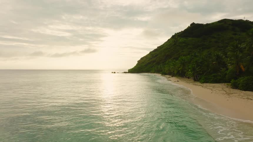 Peaceful beach with calm ocean beside green hill lined with palm trees under partly cloudy sky
