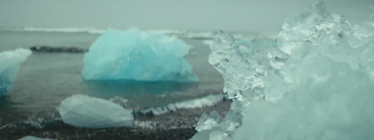 Sea ice is on the shore line