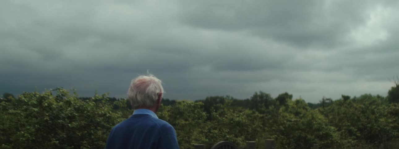 A rearview shot of an older man with white hair shows him standing outdoors looking out over a landscape of green bushes toward a dramatic dark gray overcast sky
