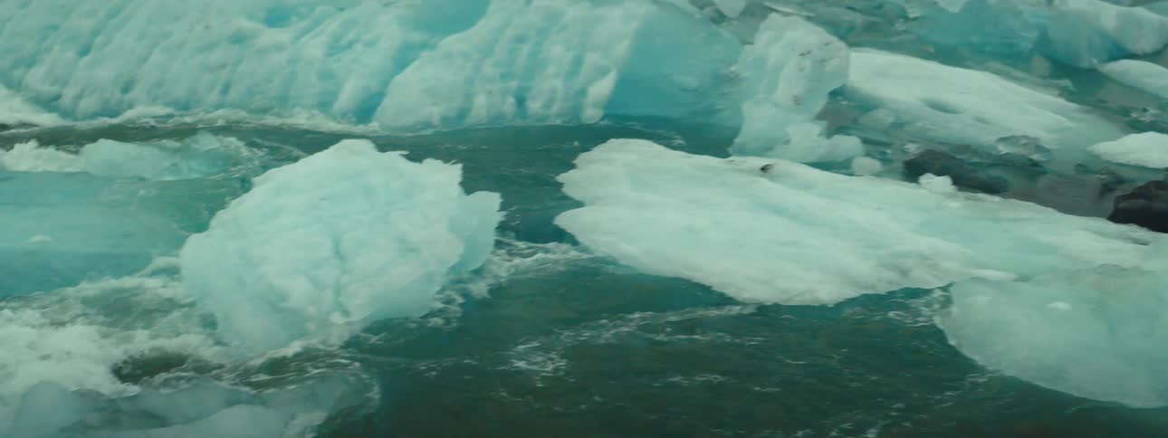 Ice blocks float in calm waters under cloudy sky in polar region
